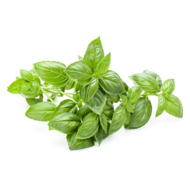 Beyaz arka plan üzerinde izole taze fesleğen buket 