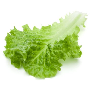 Beyaz arka plan üzerinde izole taze yeşil marul salata yaprağı
