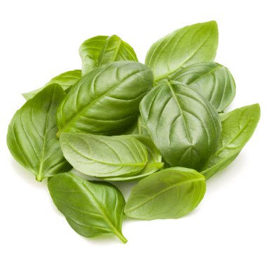 İzole üzerinde beyaz arka plan fesleğen bitki yaprakları