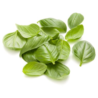 İzole üzerinde beyaz arka plan fesleğen bitki yaprakları