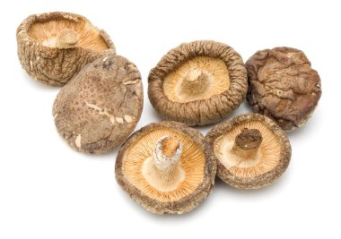 Beyaz arka planda izole edilmiş kurutulmuş shiitake mantarları.