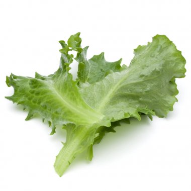 Beyaz arka plan üzerinde izole taze yeşil hindiba salata yaprakları