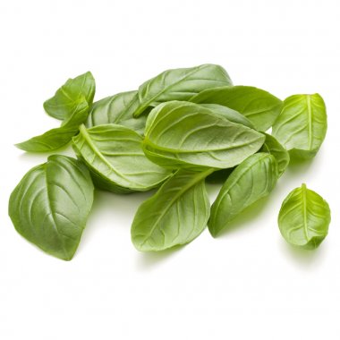 İzole üzerinde beyaz arka plan fesleğen bitki yaprakları