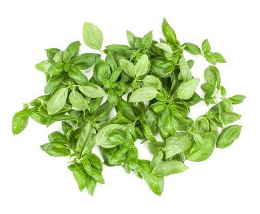 Beyaz arkaplanda tatlı fesleğen yaprakları