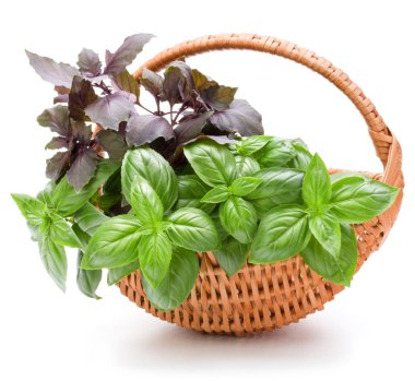 Beyaz arka plan üzerinde izole hasır sepet içinde fesleğen bitki yaprakları 