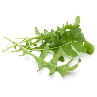 Yeşil taze rucola izole üzerinde beyaz arka plan bırakır