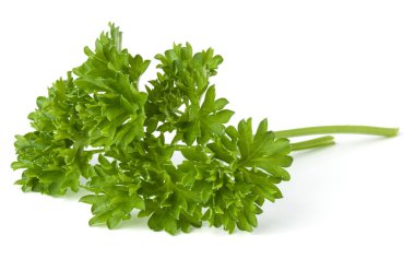 Beyaz arka plan üzerinde izole demet maydanoz yaprakları 