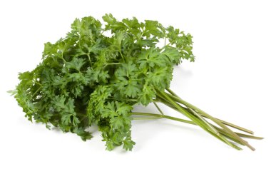 Beyaz arka plan üzerinde izole demet maydanoz yaprakları 