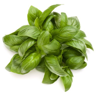 İzole üzerinde beyaz arka plan fesleğen bitki yaprakları