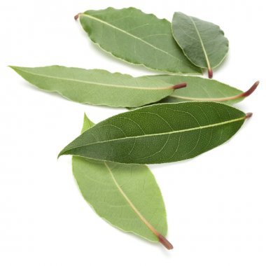 Aromatik körfez yaprakları beyaz arkaplanda izole 