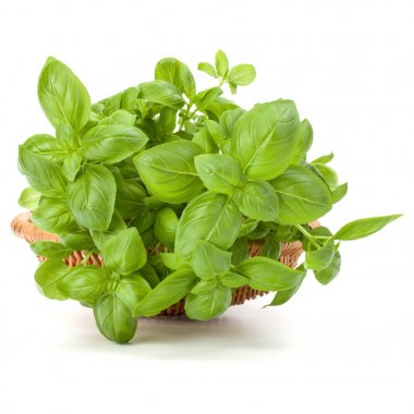 Beyaz arka plan üzerinde izole hasır sepet içinde fesleğen bitki yaprakları 