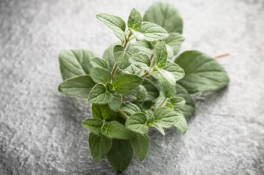 Gri taş zemin üzerine kekik yaprakları