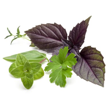 Beyaz arka plan üzerinde izole çeşitli taze ot bırakır