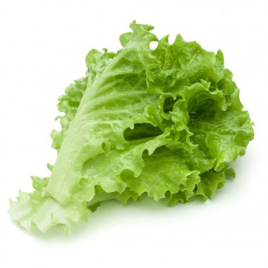 Beyaz arka planda taze yeşil marul salatası yaprakları