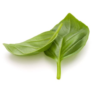 İzole üzerinde beyaz arka plan fesleğen bitki yaprakları