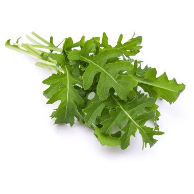 Yeşil taze rucola izole üzerinde beyaz arka plan bırakır