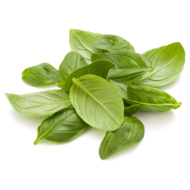 İzole üzerinde beyaz arka plan fesleğen bitki yaprakları