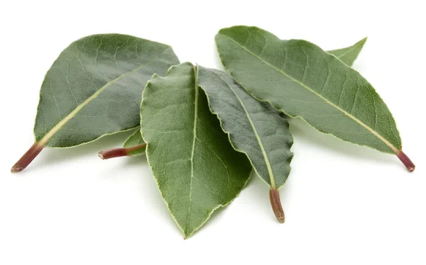 Hojas Laurel Aromáticas Aisladas Sobre Fondo Blanco — Foto de Stock