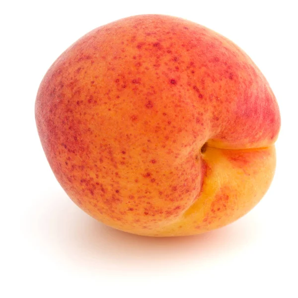 One Apricot Isolated White Background — Stock Photo, Image