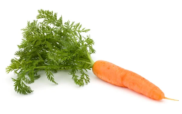 Морковный Овощ Листьями Изолированы Белом Фоне — стоковое фото