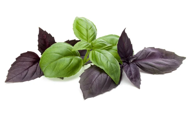 Fresh Green Red Basil Herb Leaves Mix Isolated White Background — Stock Photo, Image