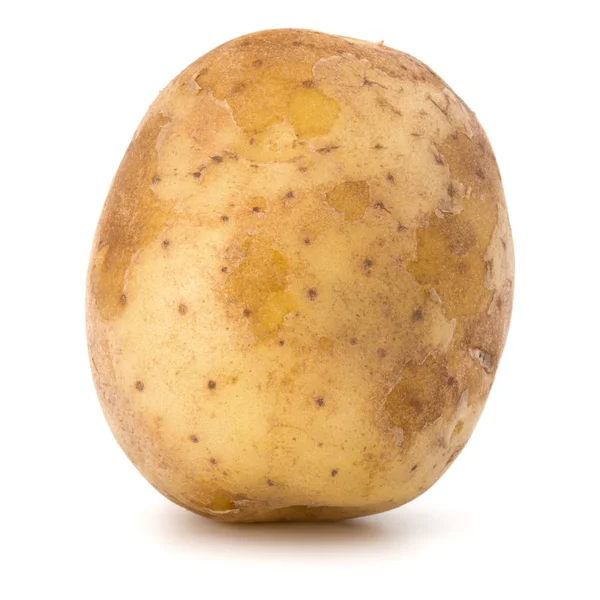 Potato Tuber Isolated White Background — Stock Photo, Image
