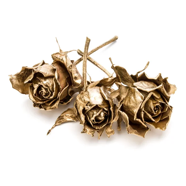 Три Золотые Розы Изолированы Белом Фоне — стоковое фото
