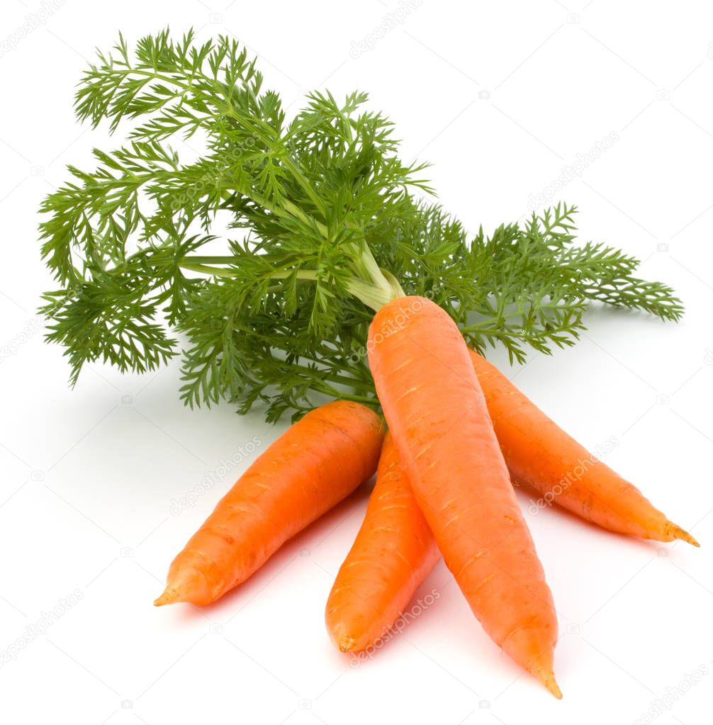 Carrot vegetables with leaves isolated on white background