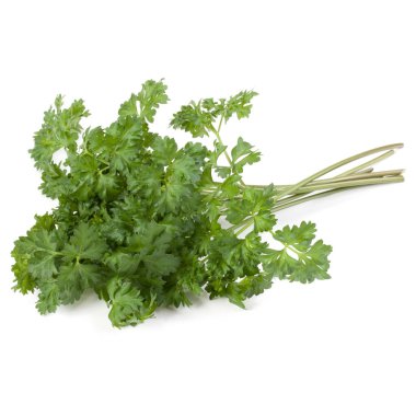 Beyaz arka plan kesme izole demet maydanoz yaprakları 