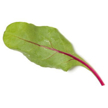 Beyaz arka planda marul salatası yaprağı var. Üst görünüm