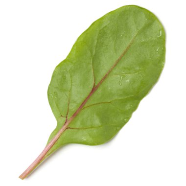 Beyaz arka planda bir avuç marul yaprağı salatası.