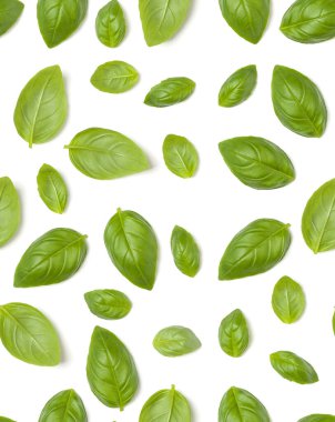 Tatlı Fesleğen ot beyaz arka plan closeup izole bırakır. Fl