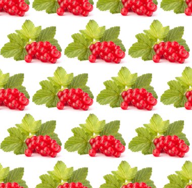 Kırmızı üzümlü üzümler beyaz arkaplan kesiği üzerinde izole edildi.