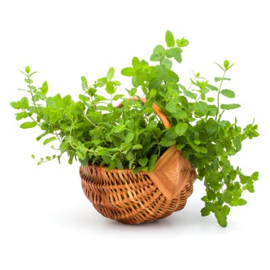 Beyaz arka planda izole edilmiş taze naneli hasır sepeti..