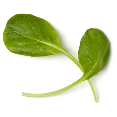 Ispanak salatası yaprağı beyaz arka plan üzerinde izole. Üst görünüm, düz 