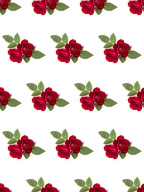 beyaz arka plan c yaprakları ile izole iki kırmızı gül çiçekleri