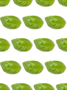 Tatlı Fesleğen ot beyaz arka plan closeup izole bırakır. Fl