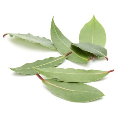 aromatik defne yaprağı 