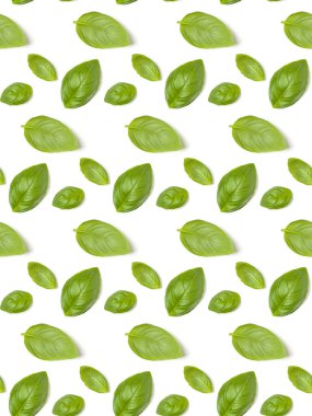 Tatlı Fesleğen ot beyaz arka plan closeup izole bırakır. Fl