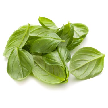 Beyaz arka plan clo üzerinde izole avuç fesleğen bitki yaprakları