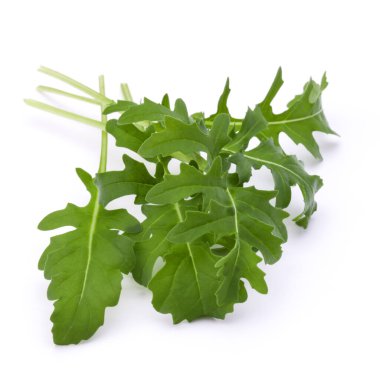 Stüdyo çekim taze rucola yaprakları yeşil wh izole kapatmak