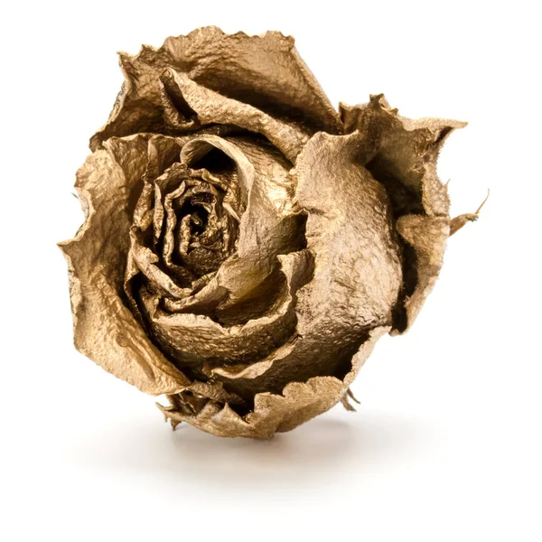 Jedna złota róża na białym tle. Suszenie złote — Zdjęcie stockowe