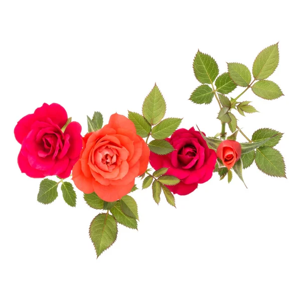 Красочный букет из розовых цветов с зелеными листьями, изолированными на белом — стоковое фото