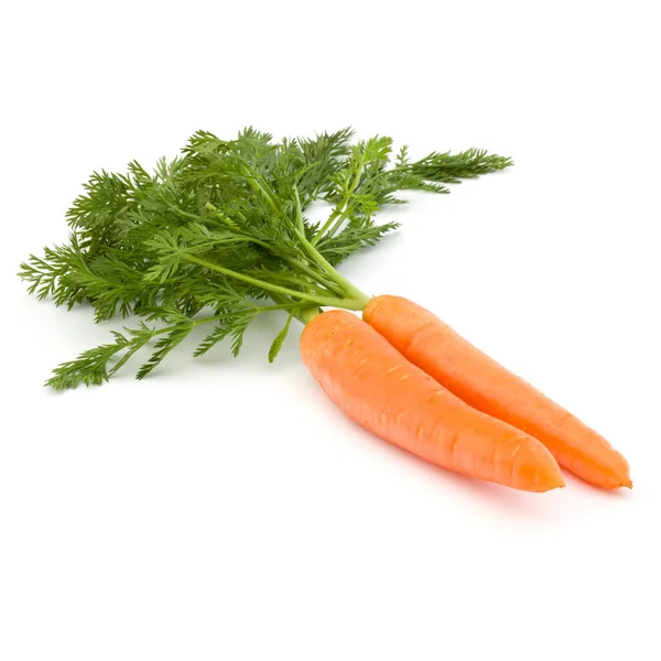 Морковный овощ с листьями, выделенными на белом фоне — стоковое фото