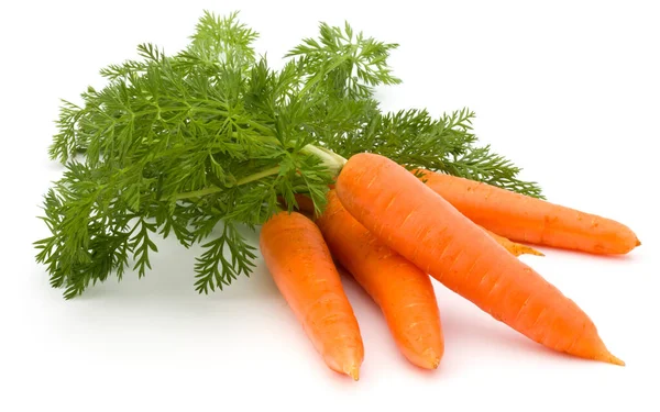 Zanahoria vegetal con hojas aisladas sobre fondo blanco recorte — Foto de Stock