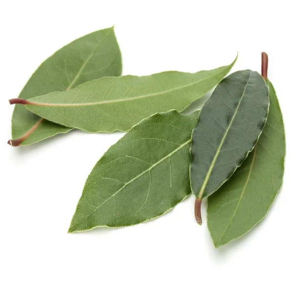 향기로운 베이 잎 — 스톡 사진