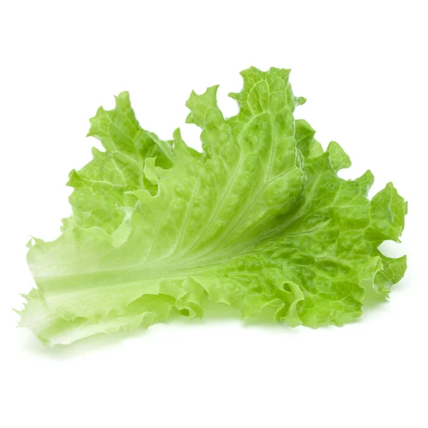 Fresh green lettuce salad leaves isolated on white background — Stock Photo, Image