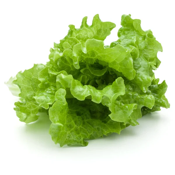 Folhas de salada de alface verde fresca isoladas sobre fundo branco — Fotografia de Stock
