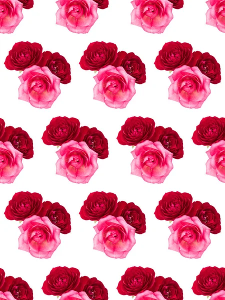 Red and pink rose flower bouquet isolated on white background cu — ストック写真
