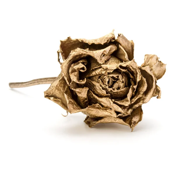 Une rose d'or isolée sur fond blanc découpé. Doré séché — Photo